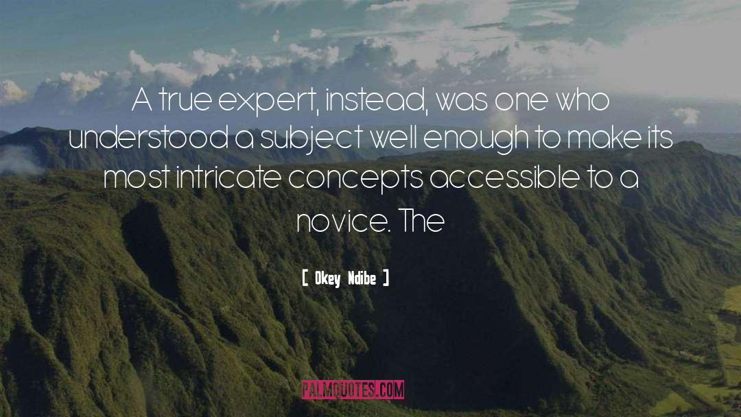 Okey Ndibe Quotes: A true expert, instead, was