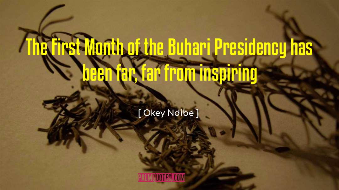 Okey Ndibe Quotes: The First Month of the