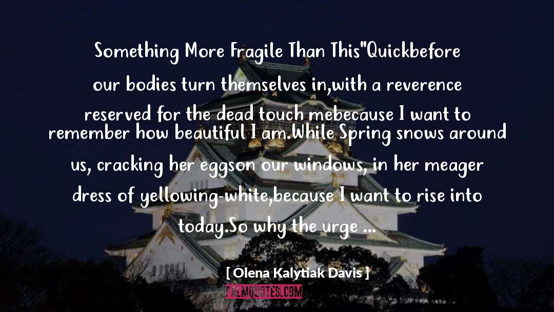 Olena Kalytiak Davis Quotes: Something More Fragile Than This