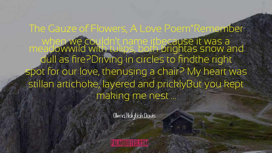 Olena Kalytiak Davis Quotes: The Gauze of Flowers, A