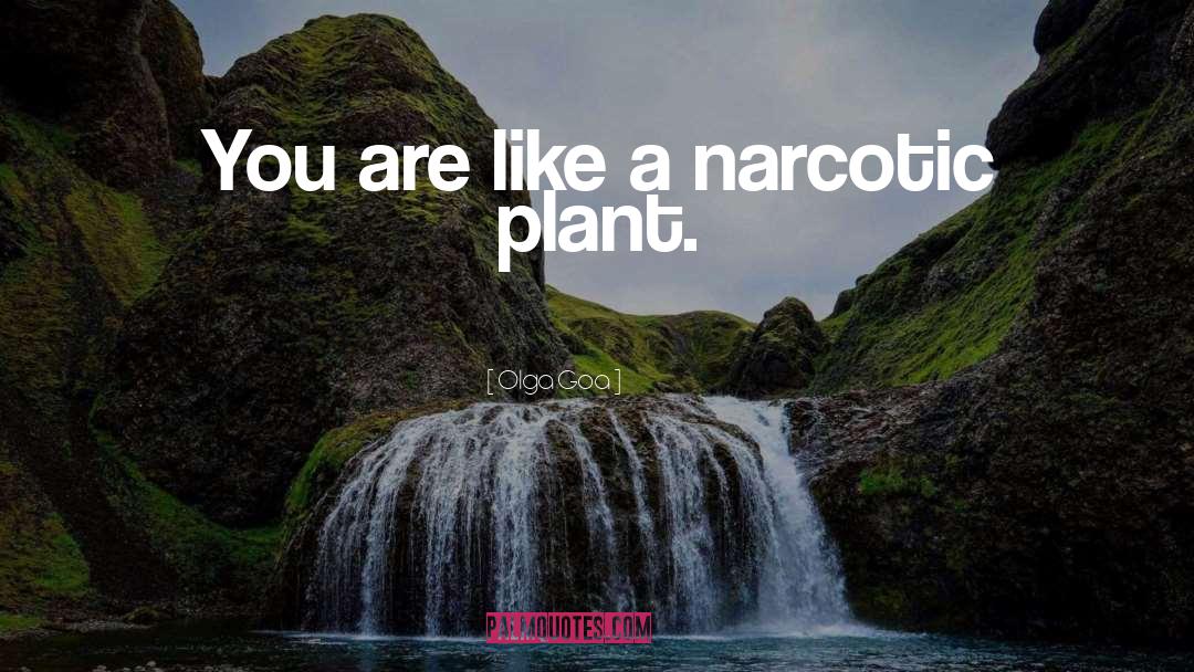 Olga Goa Quotes: You are like a narcotic