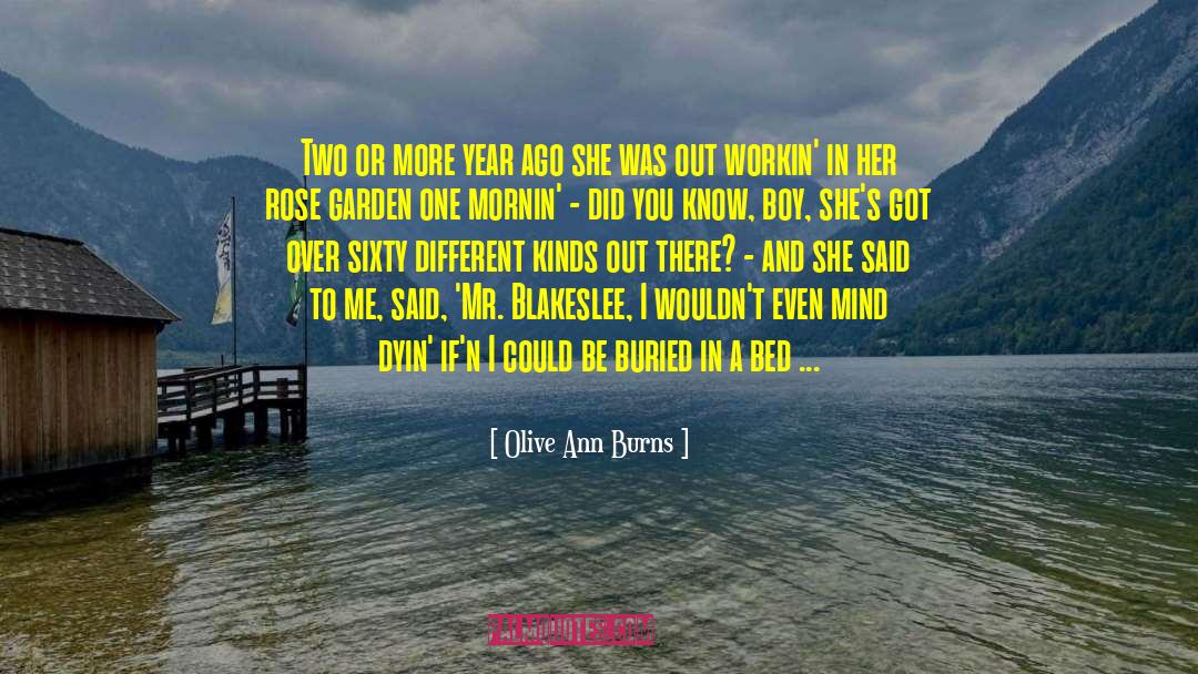 Olive Ann Burns Quotes: Two or more year ago