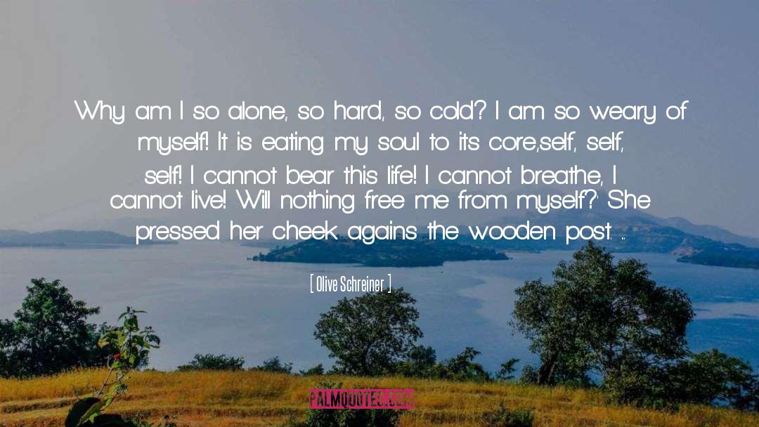 Olive Schreiner Quotes: Why am I so alone,
