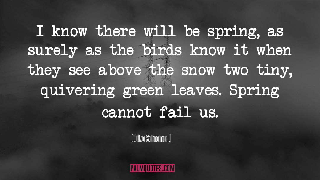 Olive Schreiner Quotes: I know there will be