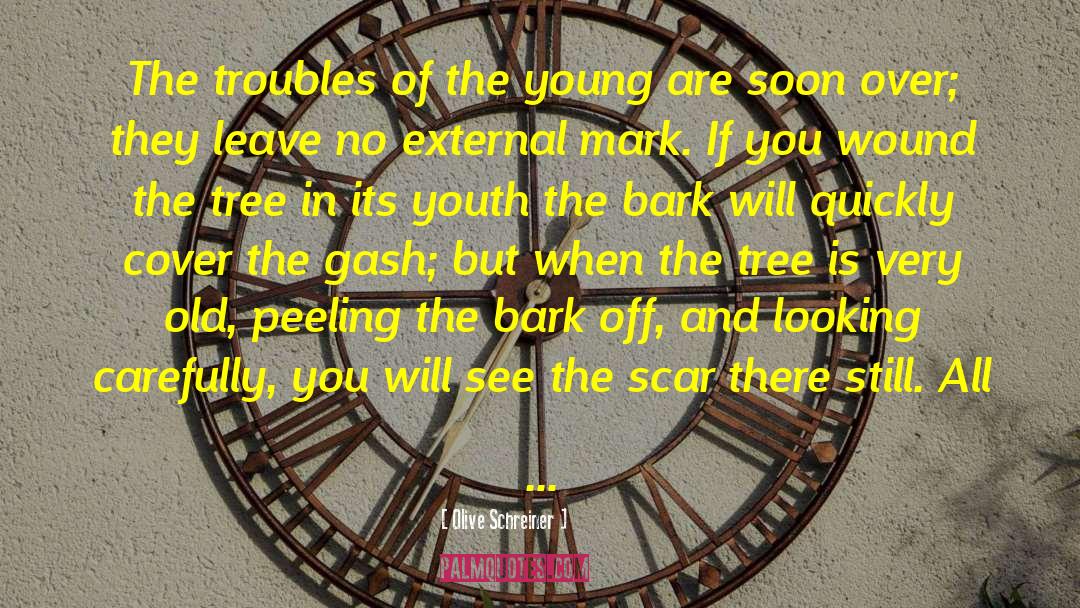 Olive Schreiner Quotes: The troubles of the young