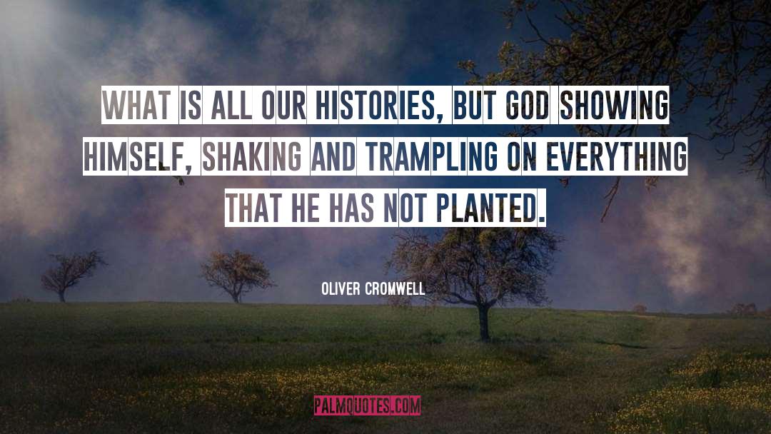 Oliver Cromwell Quotes: What is all our histories,
