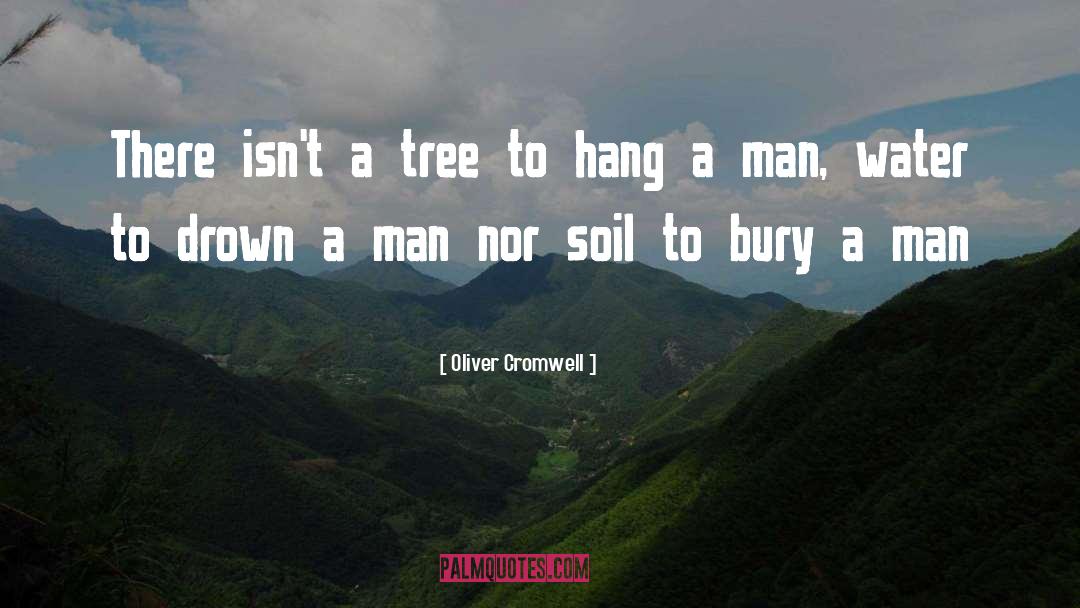 Oliver Cromwell Quotes: There isn't a tree to