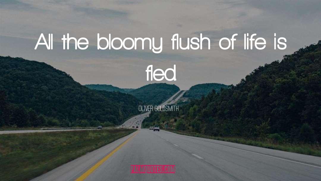 Oliver Goldsmith Quotes: All the bloomy flush of