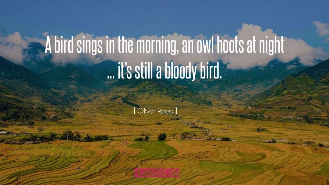 Oliver Reed Quotes: A bird sings in the
