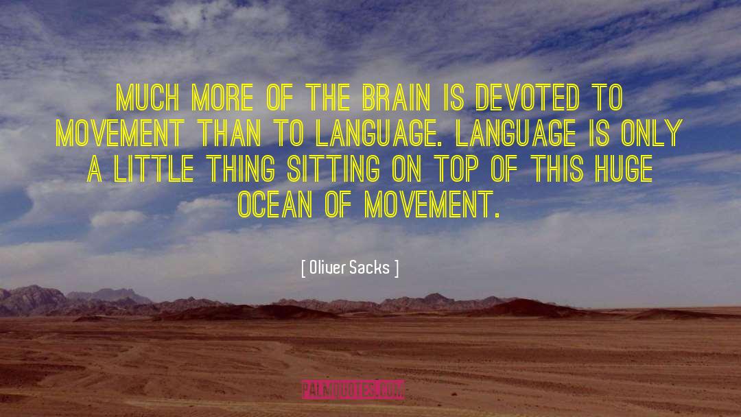 Oliver Sacks Quotes: Much more of the brain