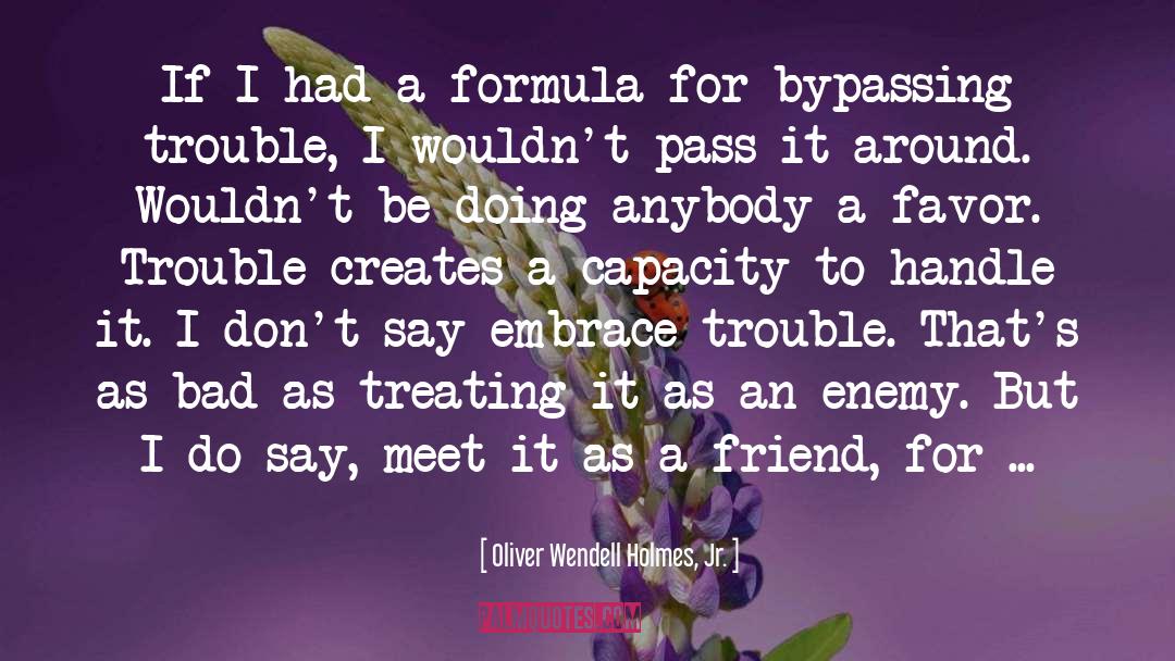 Oliver Wendell Holmes, Jr. Quotes: If I had a formula