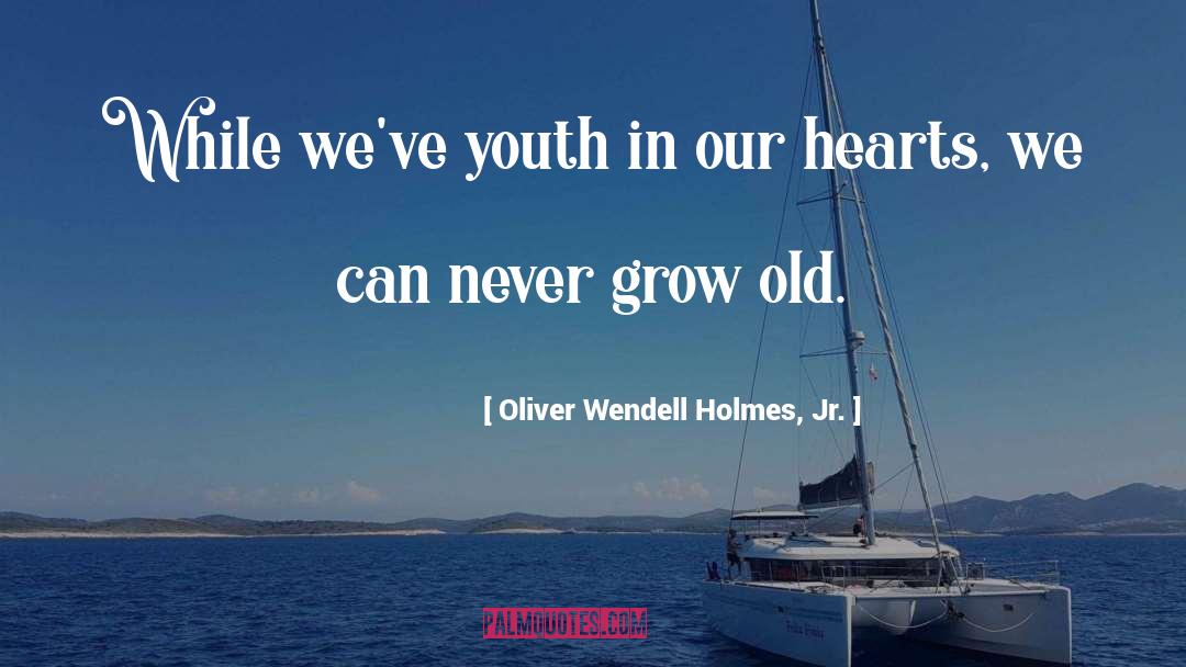 Oliver Wendell Holmes, Jr. Quotes: While we've youth in our