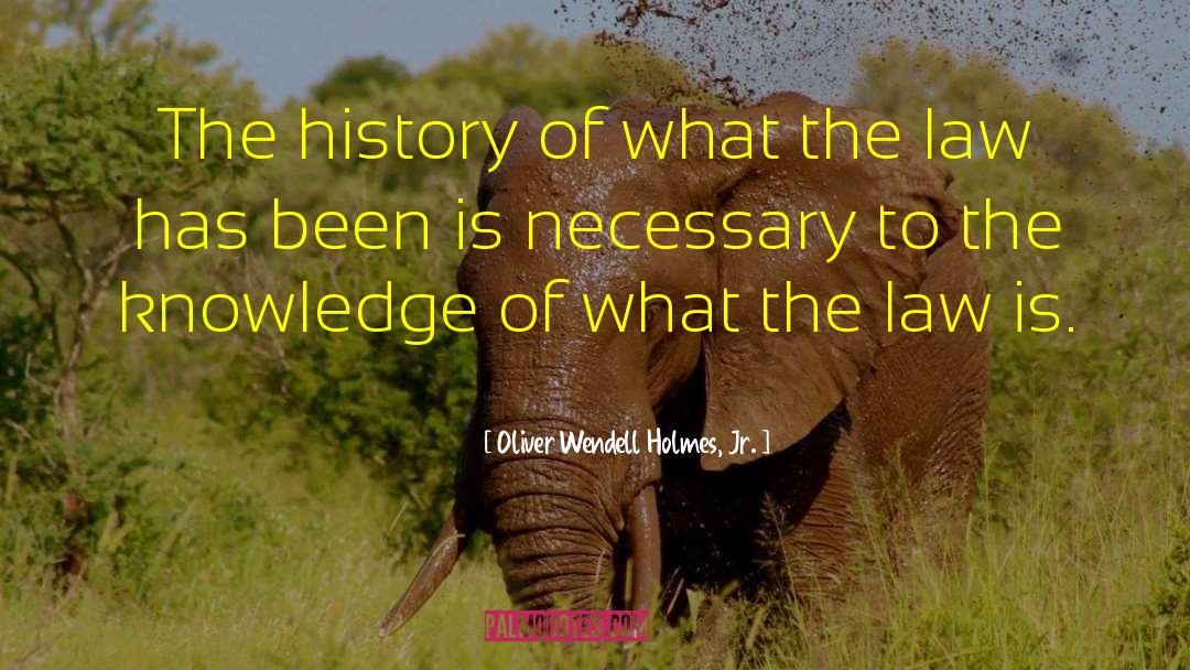 Oliver Wendell Holmes, Jr. Quotes: The history of what the