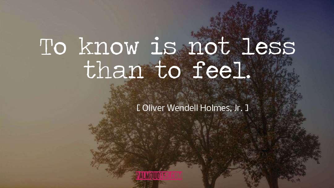 Oliver Wendell Holmes, Jr. Quotes: To know is not less