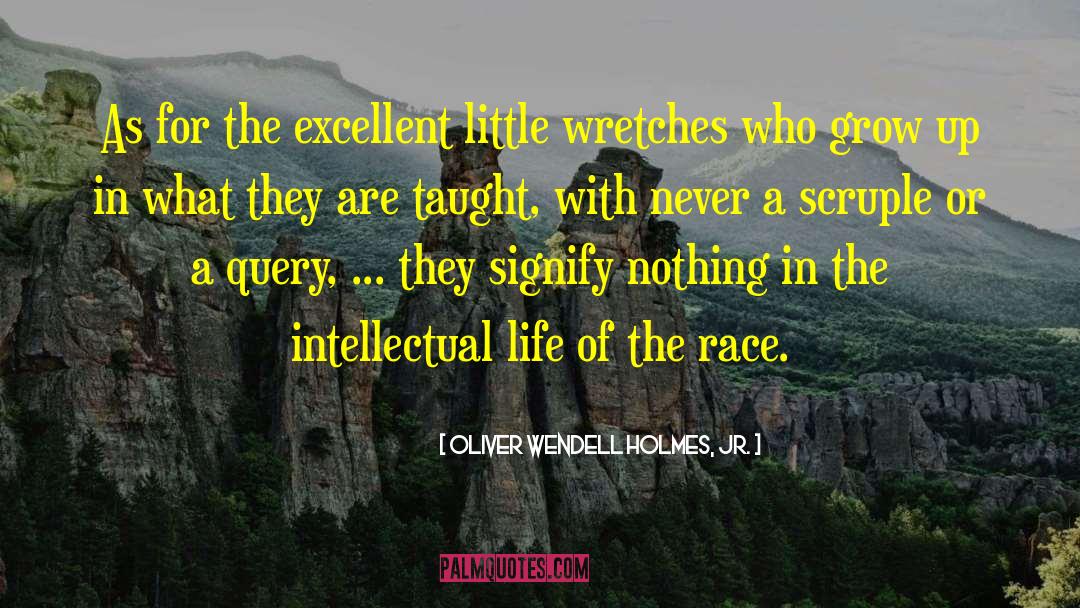 Oliver Wendell Holmes, Jr. Quotes: As for the excellent little