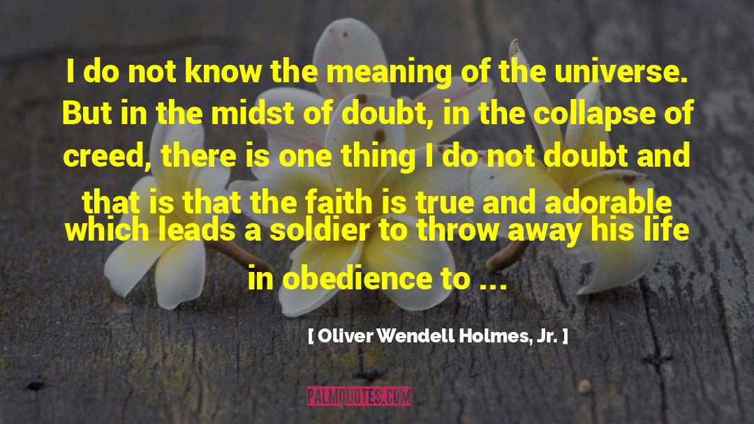 Oliver Wendell Holmes, Jr. Quotes: I do not know the