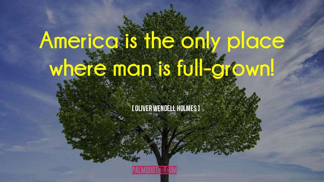 Oliver Wendell Holmes Quotes: America is the only place