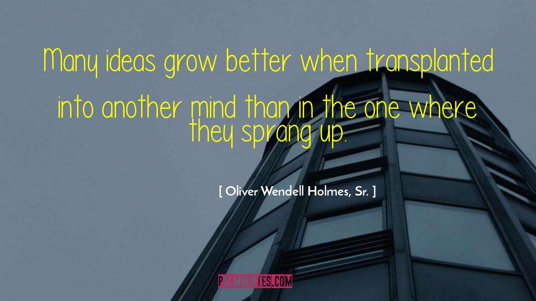 Oliver Wendell Holmes, Sr. Quotes: Many ideas grow better when