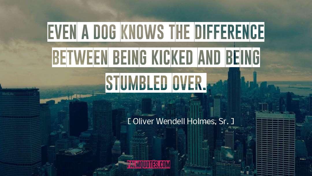 Oliver Wendell Holmes, Sr. Quotes: Even a dog knows the