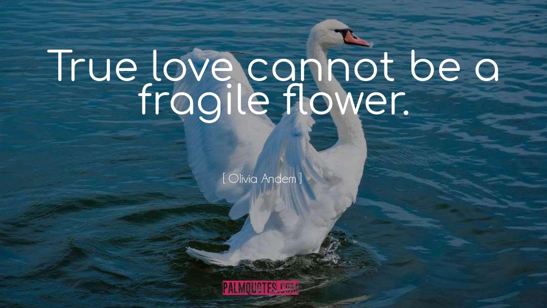 Olivia Andem Quotes: True love cannot be a