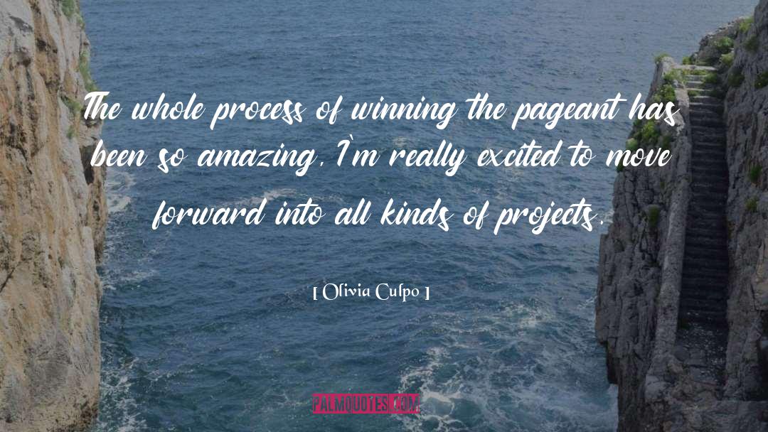 Olivia Culpo Quotes: The whole process of winning