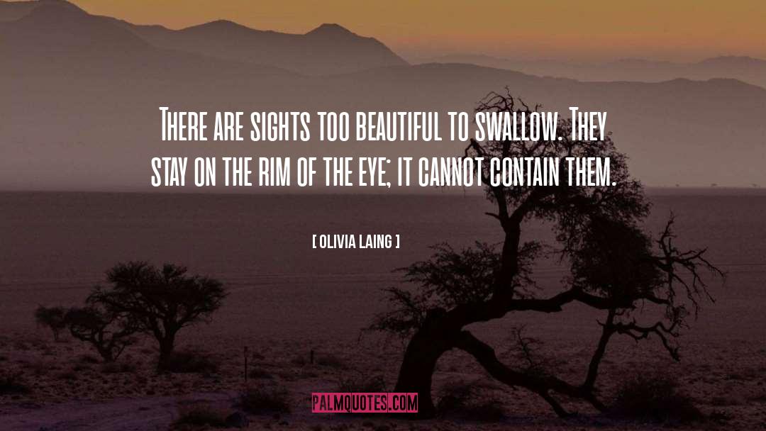 Olivia Laing Quotes: There are sights too beautiful