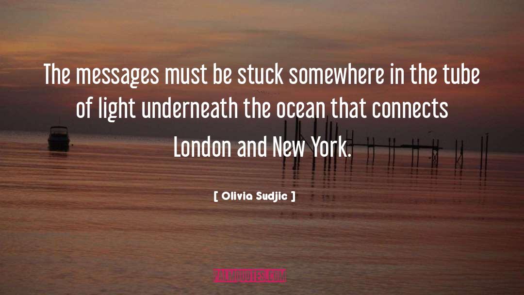 Olivia Sudjic Quotes: The messages must be stuck