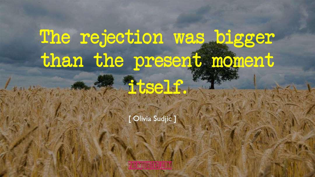 Olivia Sudjic Quotes: The rejection was bigger than