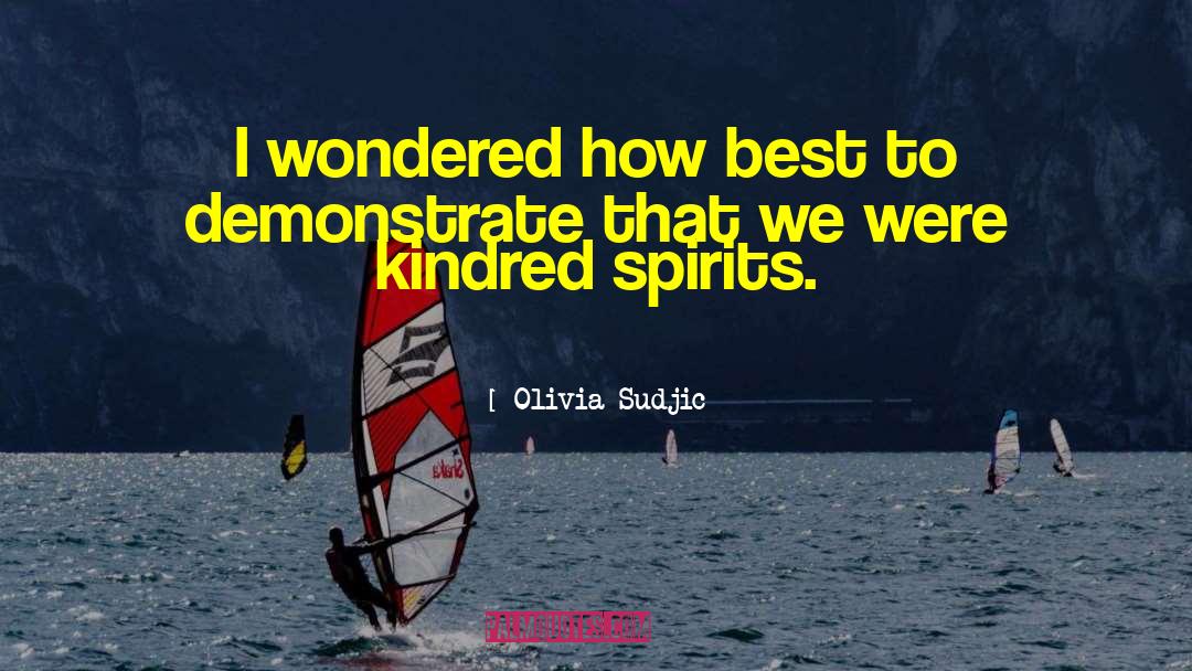 Olivia Sudjic Quotes: I wondered how best to