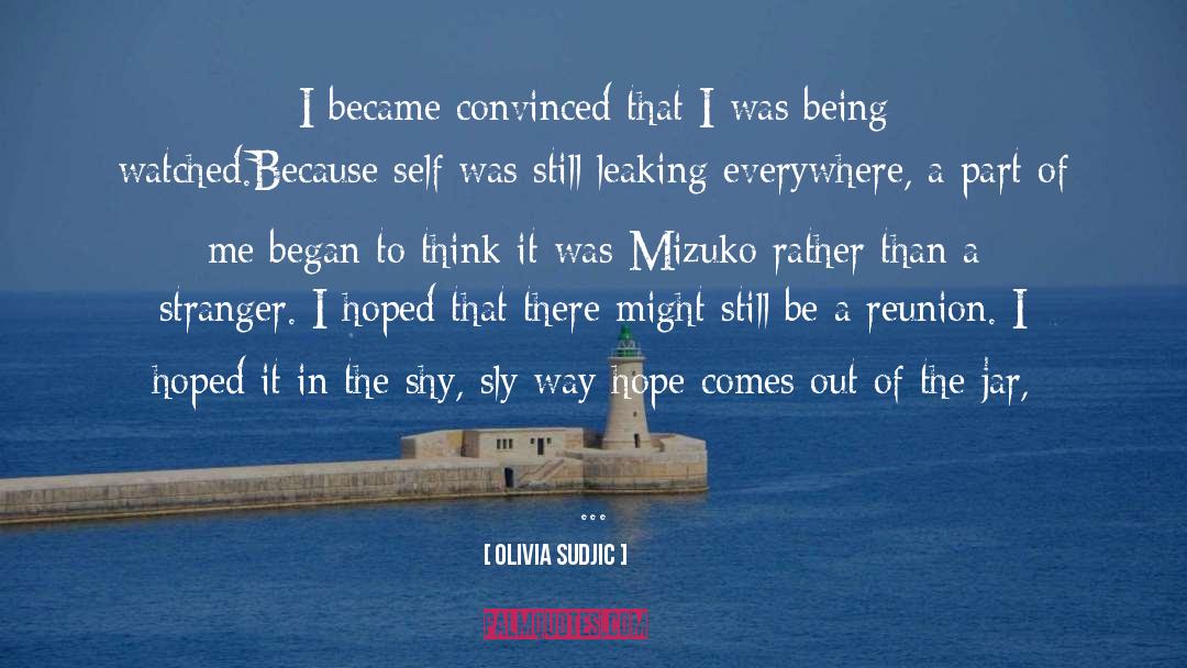 Olivia Sudjic Quotes: I became convinced that I