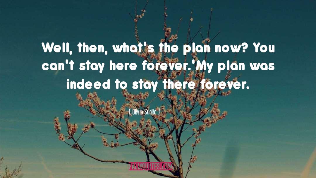 Olivia Sudjic Quotes: Well, then, what's the plan