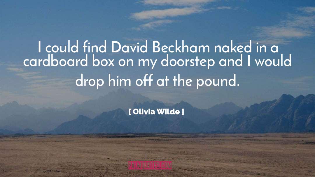Olivia Wilde Quotes: I could find David Beckham