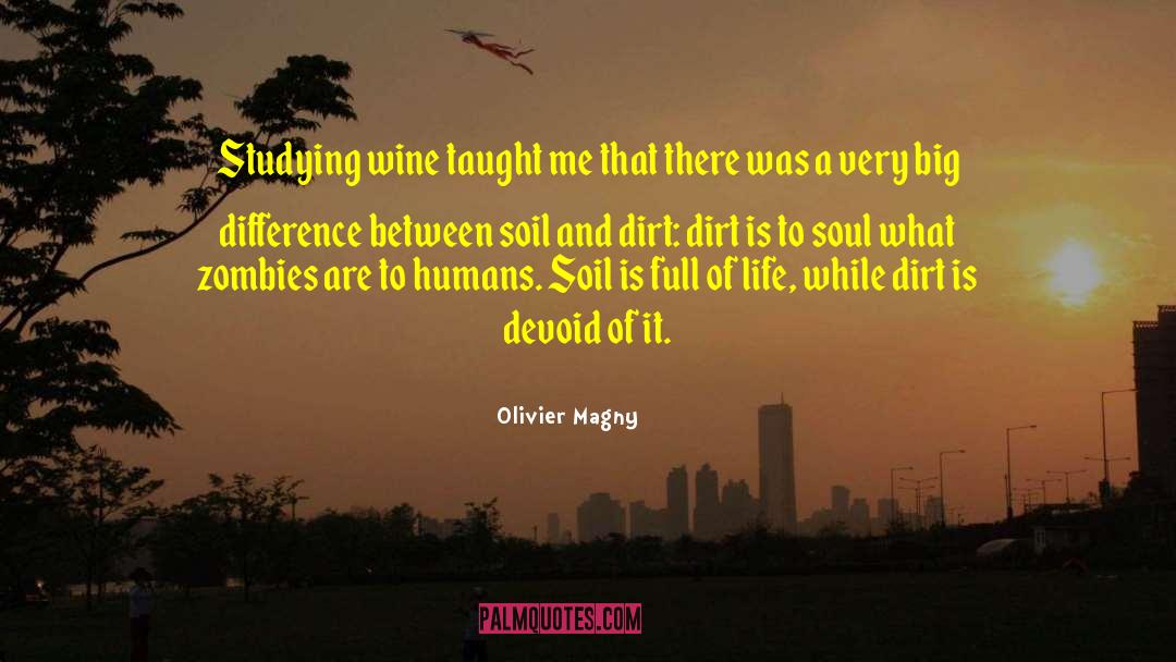 Olivier Magny Quotes: Studying wine taught me that