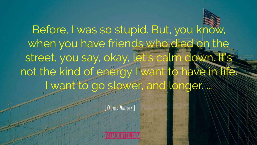 Olivier Martinez Quotes: Before, I was so stupid.