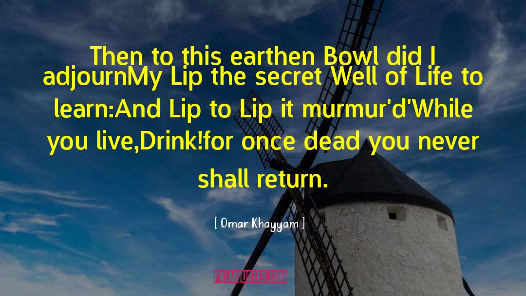 Omar Khayyam Quotes: Then to this earthen Bowl