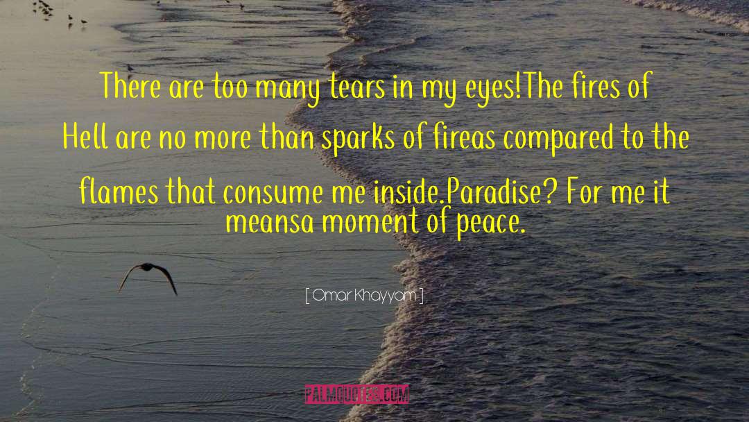 Omar Khayyam Quotes: There are too many tears