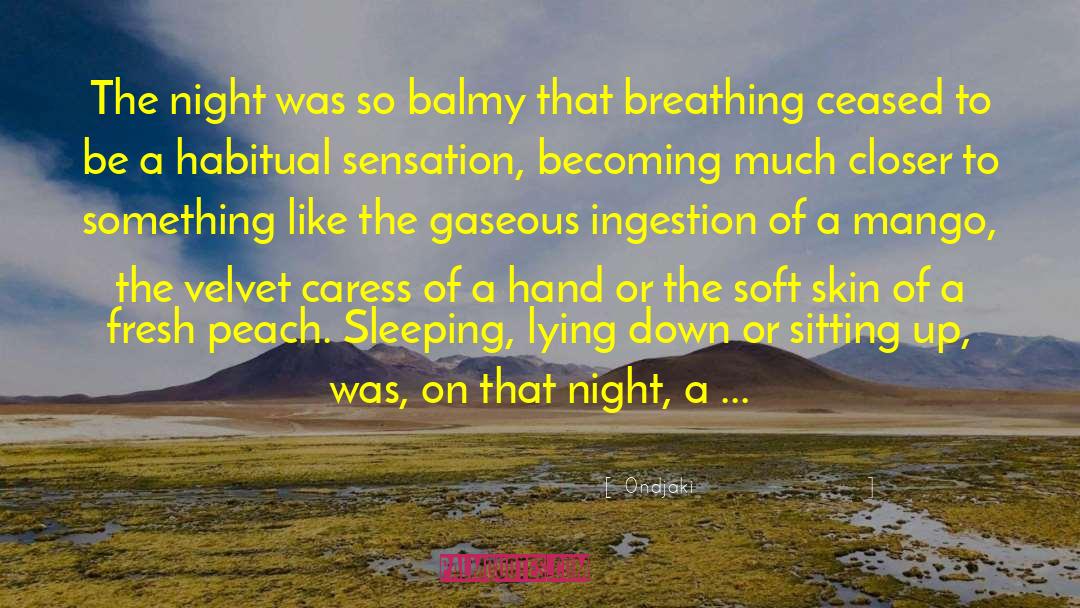 Ondjaki Quotes: The night was so balmy