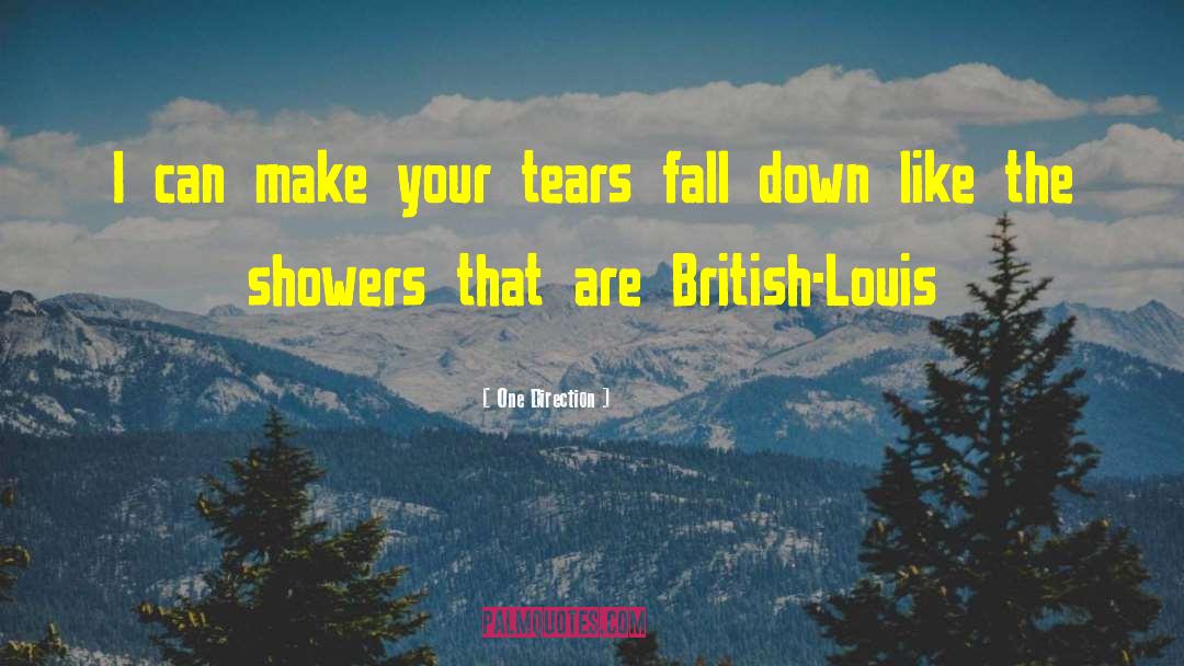 One Direction Quotes: I can make your tears