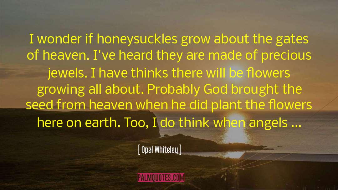 Opal Whiteley Quotes: I wonder if honeysuckles grow