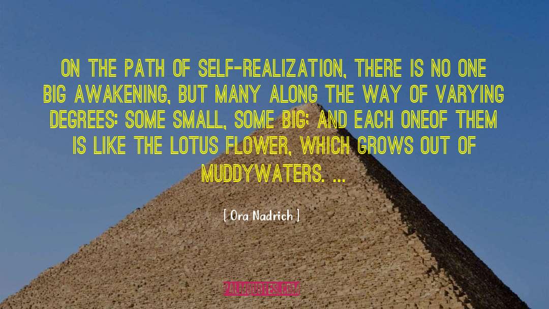 Ora Nadrich Quotes: On the path of self-realization,