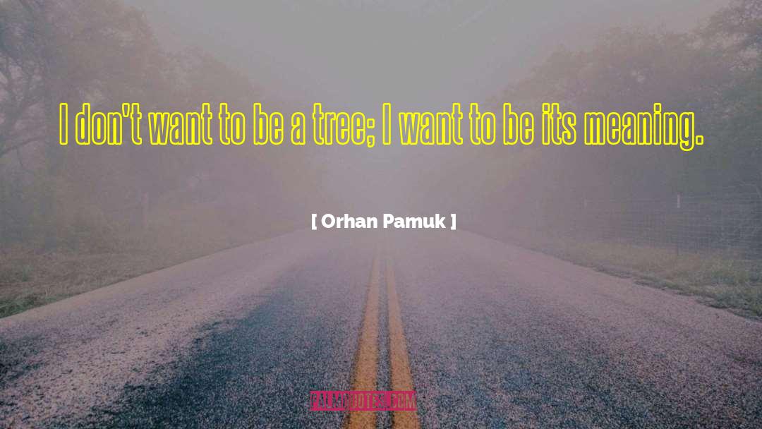 Orhan Pamuk Quotes: I don't want to be