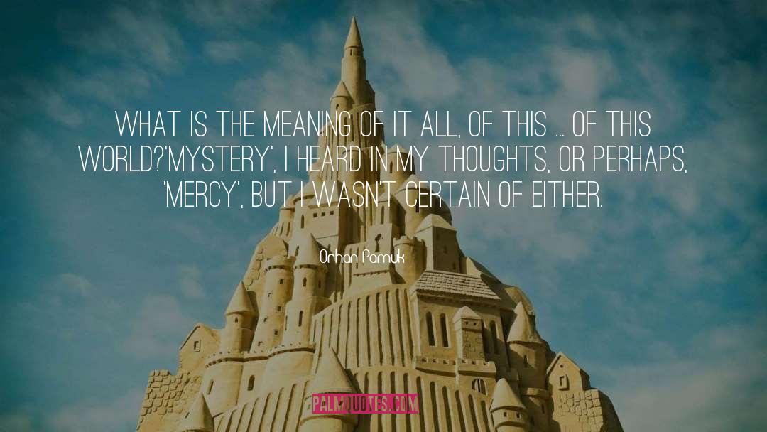 Orhan Pamuk Quotes: What is the meaning of