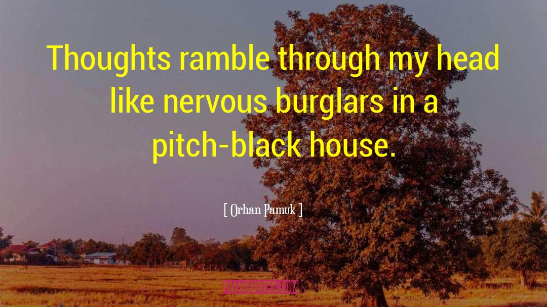 Orhan Pamuk Quotes: Thoughts ramble through my head