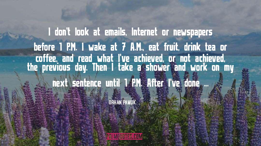 Orhan Pamuk Quotes: I don't look at emails,