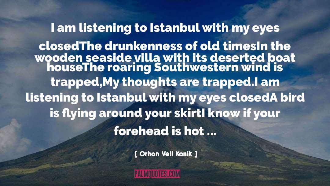 Orhan Veli Kanik Quotes: I am listening to Istanbul