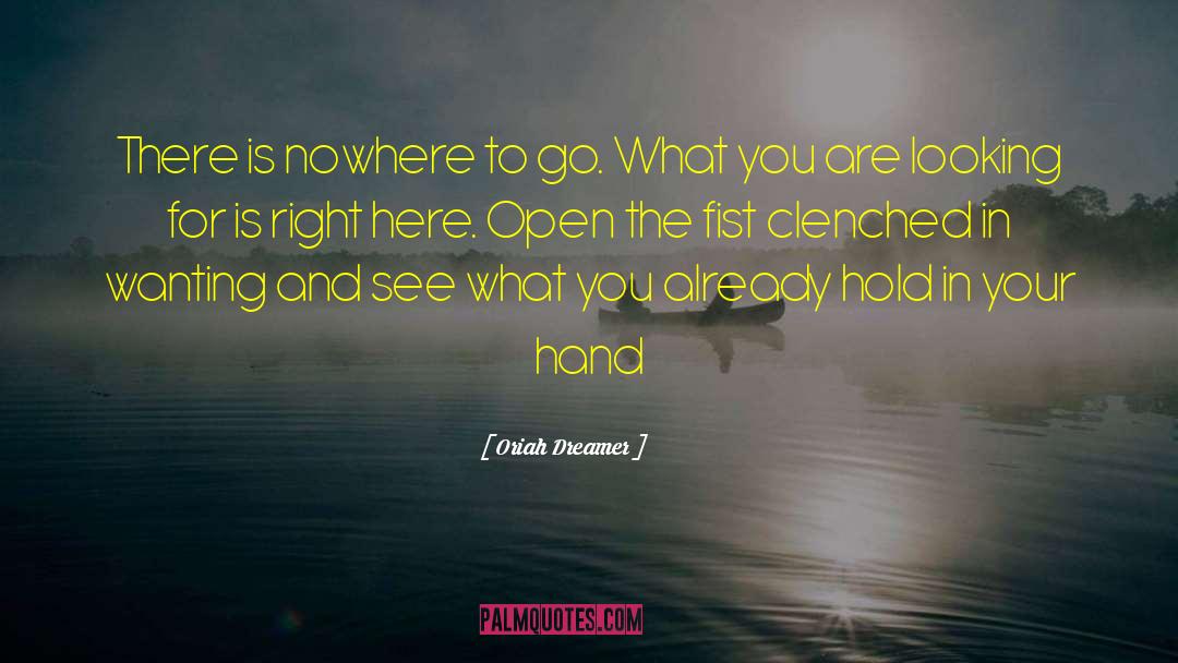 Oriah Dreamer Quotes: There is nowhere to go.