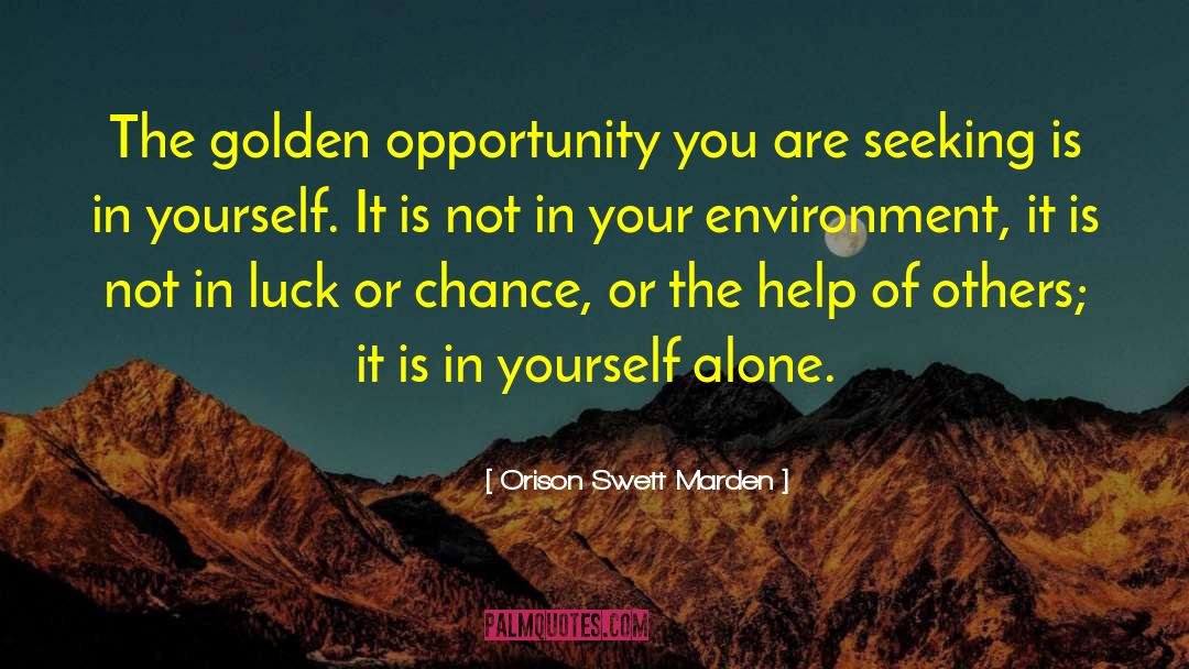 Orison Swett Marden Quotes: The golden opportunity you are