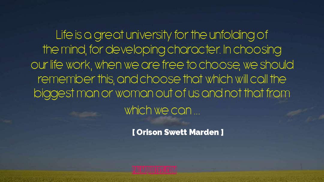 Orison Swett Marden Quotes: Life is a great university
