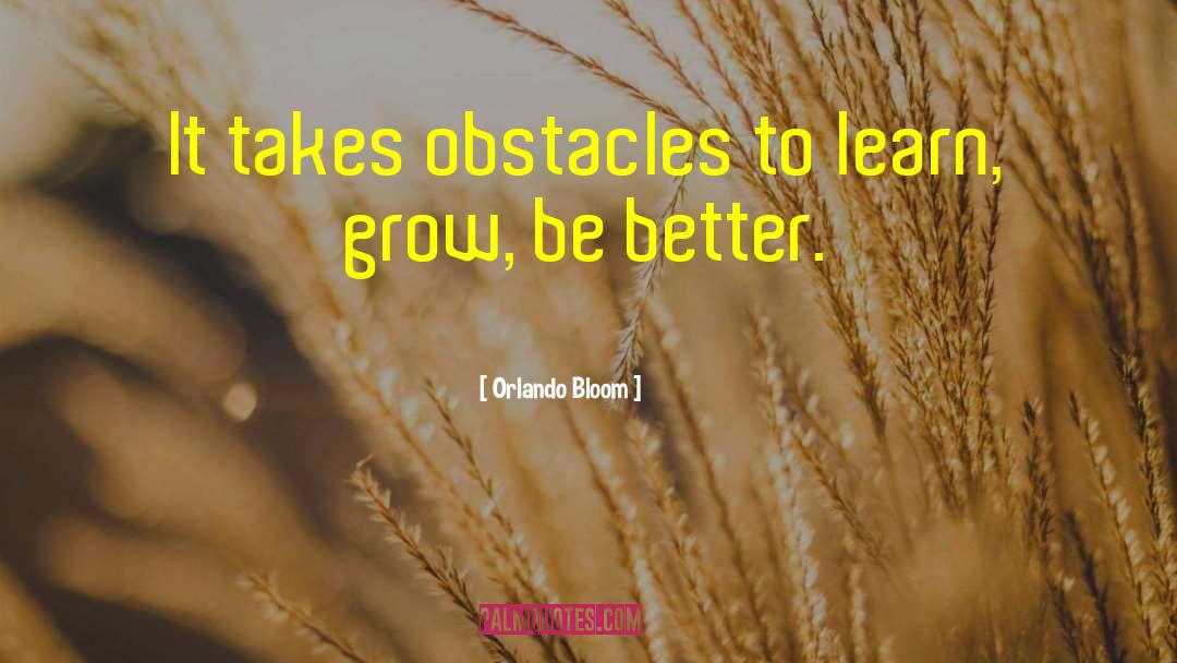 Orlando Bloom Quotes: It takes obstacles to learn,