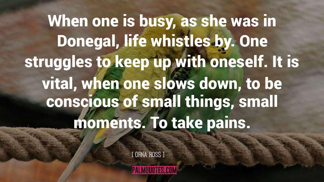 Orna Ross Quotes: When one is busy, as